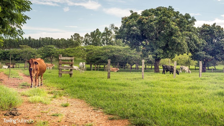 More Time to Replace Livestock due to Drought